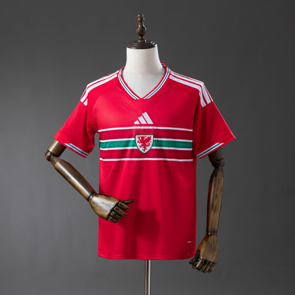 Camiseta Gales 2026 Local