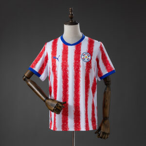 Camiseta Paraguay 2026 Local